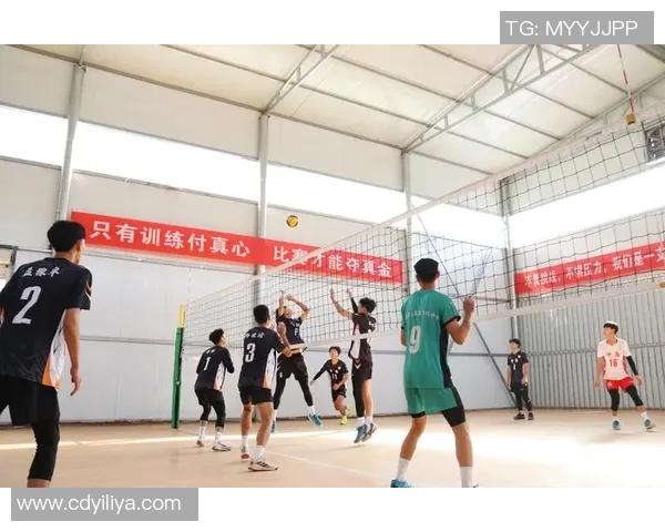 西安排球队节奏的奥秘与排球深度解析