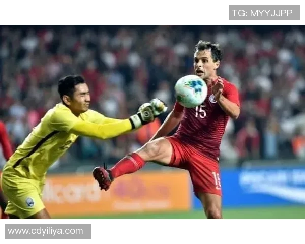 西安排球队的崛起之路:精英赛背后的奋斗与荣耀 西安排球队的崛起之路:精英赛背后的奋斗与荣耀